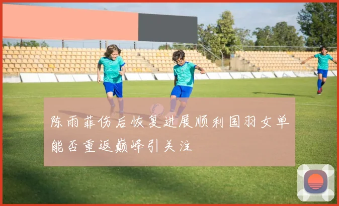 陈雨菲伤后恢复进展顺利国羽女单能否重返巅峰引关注